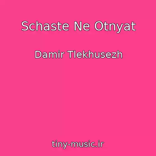 کاور آهنگ Schaste Ne Otnyat از Damir Tlekhusezh