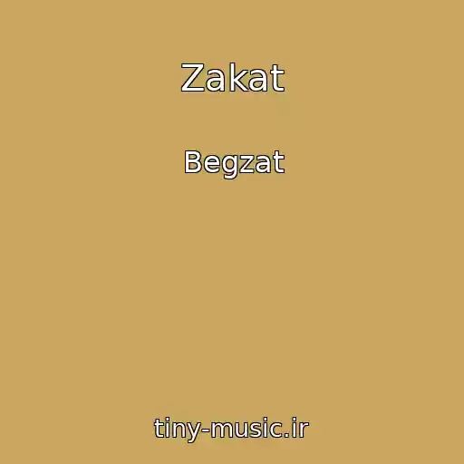 کاور آهنگ Zakat از Begzat