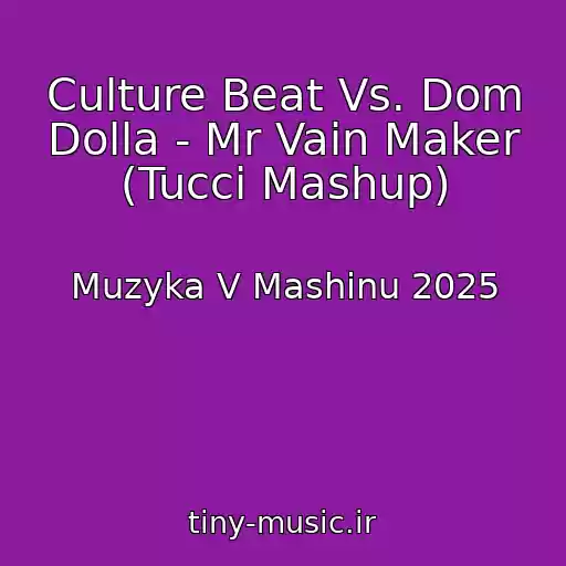 کاور آهنگ Culture Beat Vs. Dom Dolla - Mr Vain Maker (Tucci Mashup) از Muzyka V Mashinu 2025