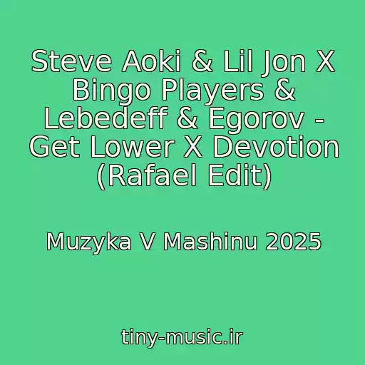 کاور آهنگ Steve Aoki & Lil Jon X Bingo Players & Lebedeff & Egorov - Get Lower X Devotion (Rafael Edit) از Muzyka V Mashinu 2025