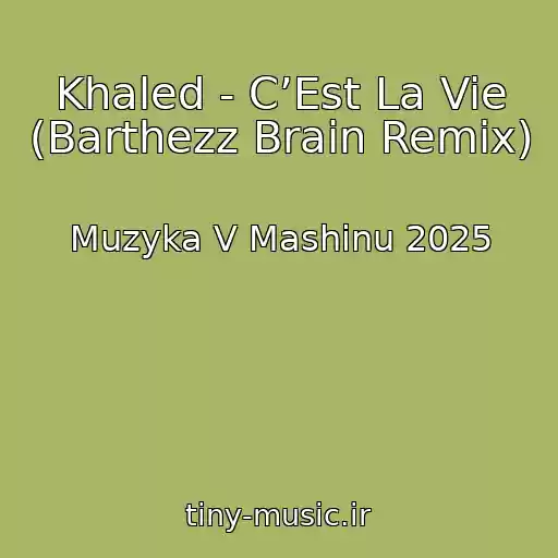 کاور آهنگ Khaled - C’Est La Vie (Barthezz Brain Remix) از Muzyka V Mashinu 2025