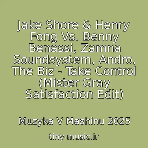 کاور آهنگ Jake Shore & Henry Fong Vs. Benny Benassi, Zamna Soundsystem, Andro, The Biz - Take Control (Mister Gray Satisfaction Edit) از Muzyka V Mashinu 2025