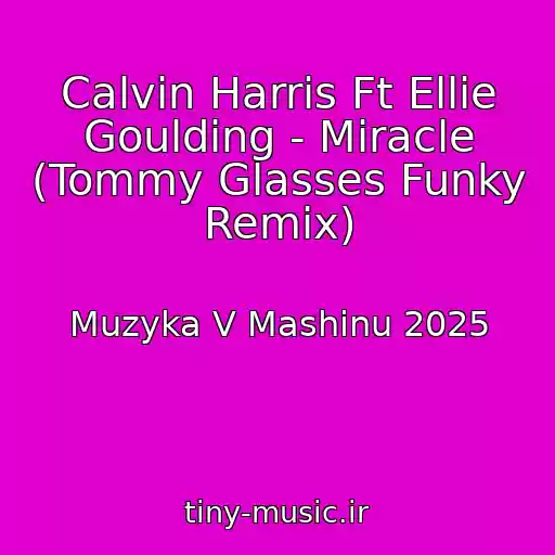 کاور آهنگ Calvin Harris Ft Ellie Goulding - Miracle (Tommy Glasses Funky Remix) از Muzyka V Mashinu 2025