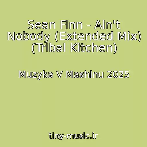 کاور آهنگ Sean Finn - Ain't Nobody (Extended Mix) (Tribal Kitchen) از Muzyka V Mashinu 2025
