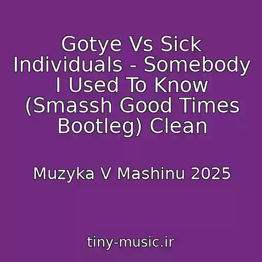 کاور آهنگ Gotye Vs Sick Individuals - Somebody I Used To Know (Smassh Good Times Bootleg) Clean از Muzyka V Mashinu 2025