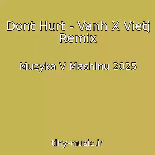 کاور آهنگ Dont Hurt - Vanh X Vietj Remix از Muzyka V Mashinu 2025
