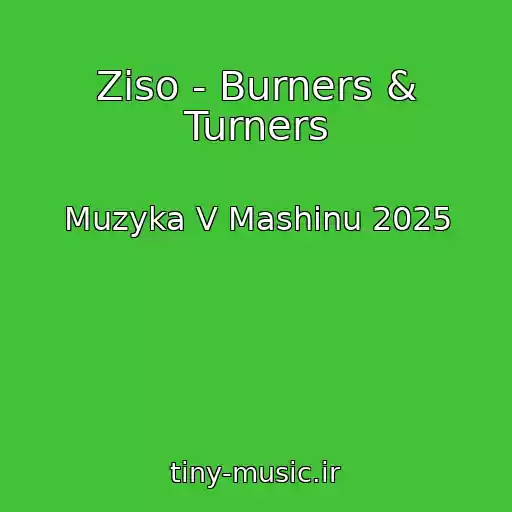 کاور آهنگ Ziso - Burners & Turners از Muzyka V Mashinu 2025
