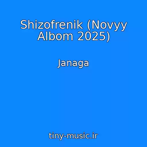کاور آهنگ Shizofrenik (Novyy Albom 2025) از Janaga