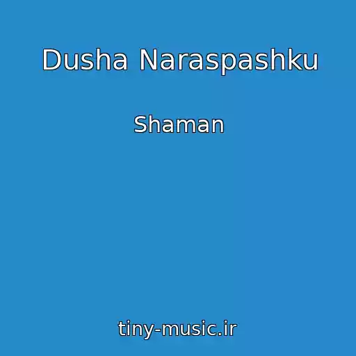 کاور آهنگ Dusha Naraspashku از Shaman