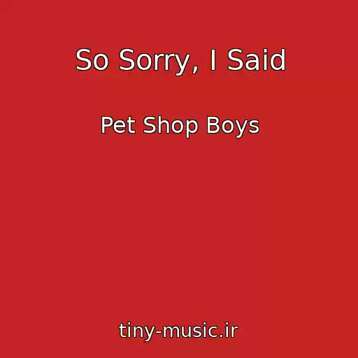 کاور آهنگ So Sorry, I Said از Pet Shop Boys