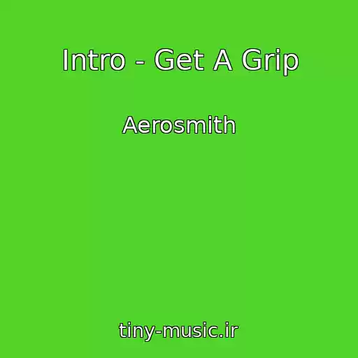 کاور آهنگ Intro - Get A Grip از Aerosmith