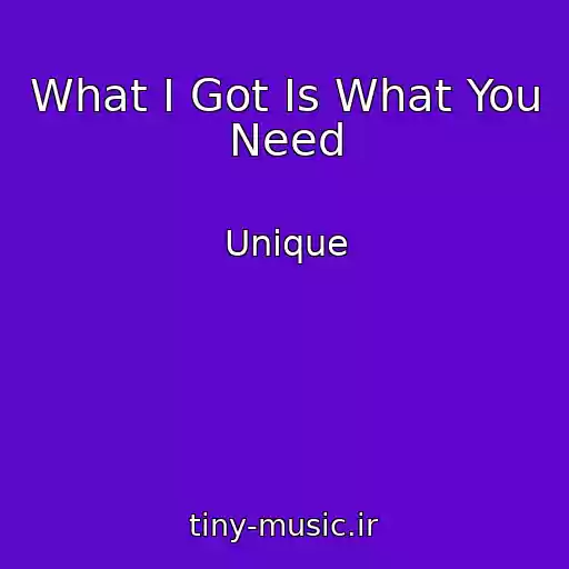 کاور آهنگ What I Got Is What You Need از Unique