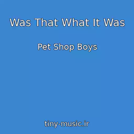 کاور آهنگ Was That What It Was از Pet Shop Boys