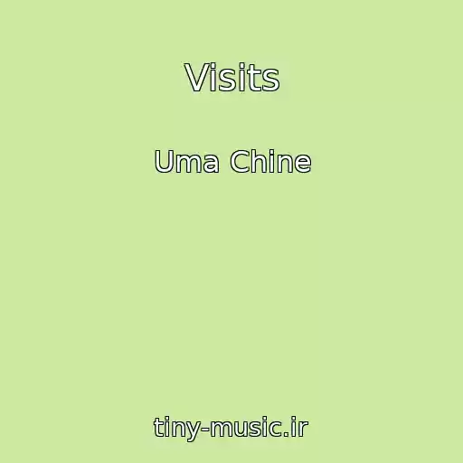 کاور آهنگ Visits از Uma Chine