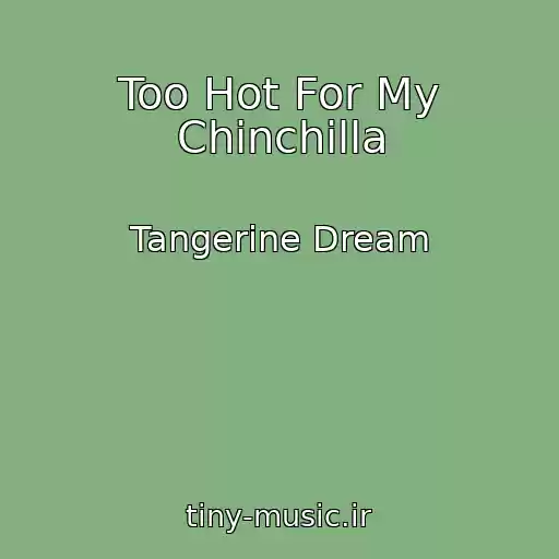 کاور آهنگ Too Hot For My Chinchilla از Tangerine Dream