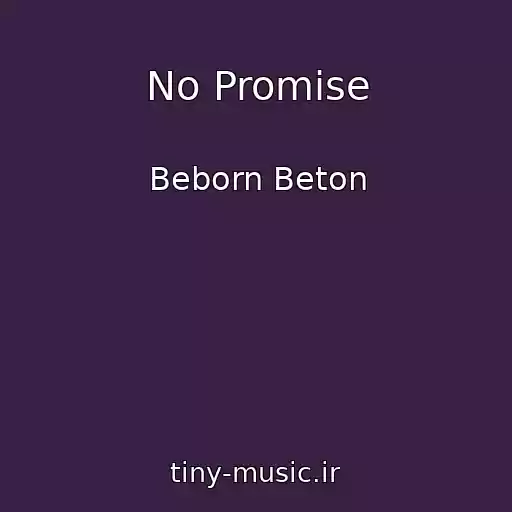 کاور آهنگ No Promise از Beborn Beton