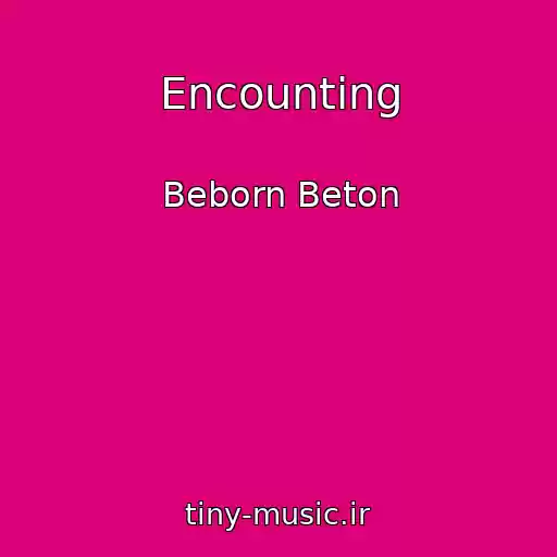 کاور آهنگ Encounting از Beborn Beton