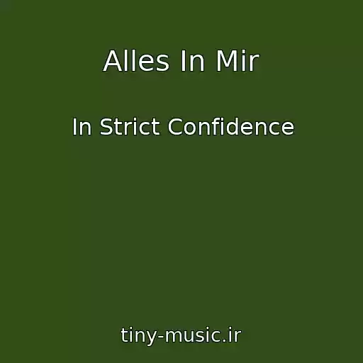 کاور آهنگ Alles In Mir از In Strict Confidence