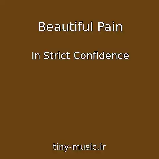 کاور آهنگ Beautiful Pain از In Strict Confidence