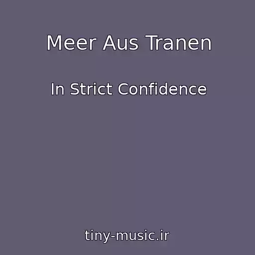 کاور آهنگ Meer Aus Tranen از In Strict Confidence