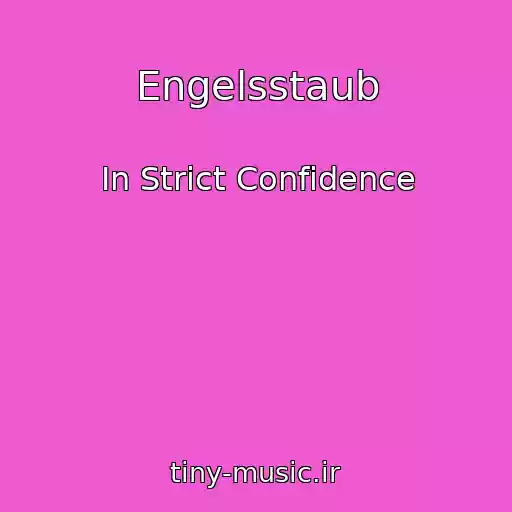 کاور آهنگ Engelsstaub از In Strict Confidence