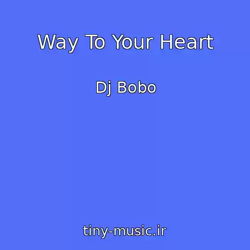 کاور آهنگ Way To Your Heart از Dj Bobo