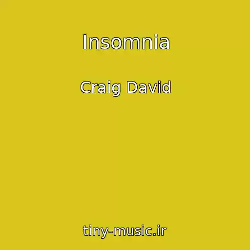 کاور آهنگ Insomnia از Craig David