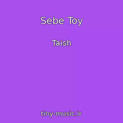 کاور آهنگ Sebe Toy از Taish