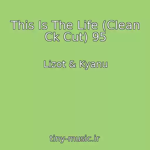 کاور آهنگ This Is The Life (Clean Ck Cut) 95 از Lizot & Kyanu