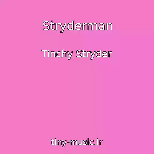 کاور آهنگ Stryderman از Tinchy Stryder