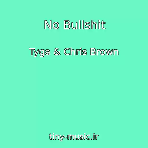 کاور آهنگ No Bullshit از Tyga & Chris Brown