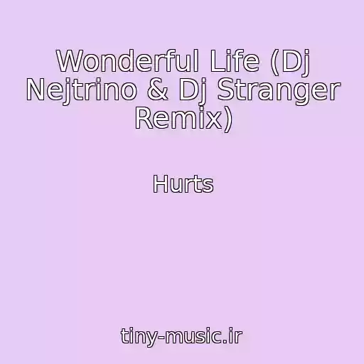 کاور آهنگ Wonderful Life (Dj Nejtrino & Dj Stranger Remix) از Hurts