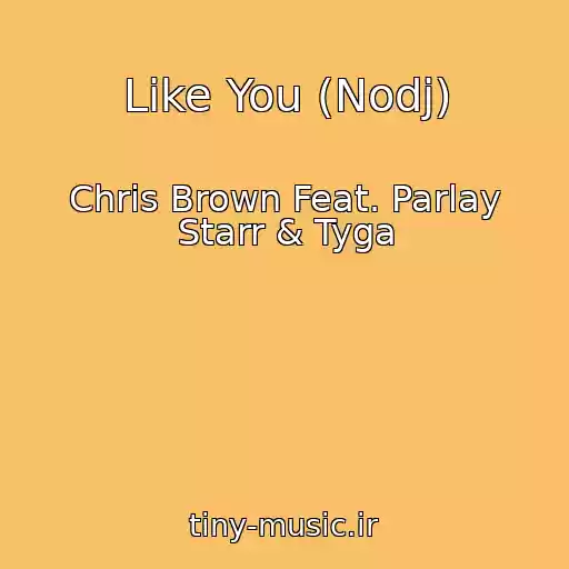 کاور آهنگ Like You (Nodj) از Chris Brown Feat. Parlay Starr & Tyga