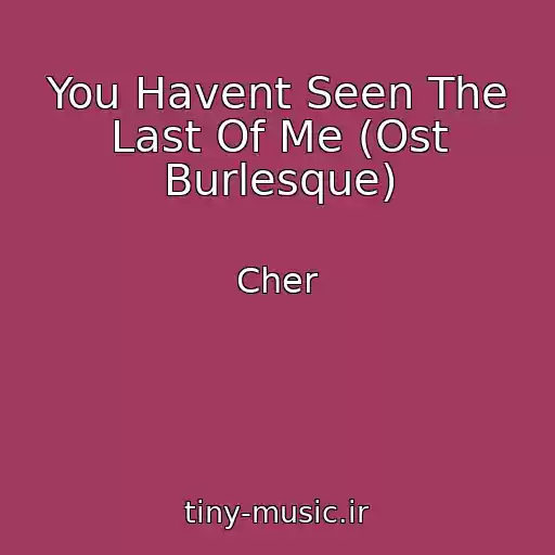 کاور آهنگ You Havent Seen The Last Of Me (Ost Burlesque) از Cher