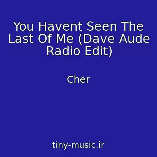 کاور آهنگ You Havent Seen The Last Of Me (Dave Aude Radio Edit) از Cher