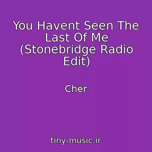 کاور آهنگ You Havent Seen The Last Of Me (Stonebridge Radio Edit) از Cher