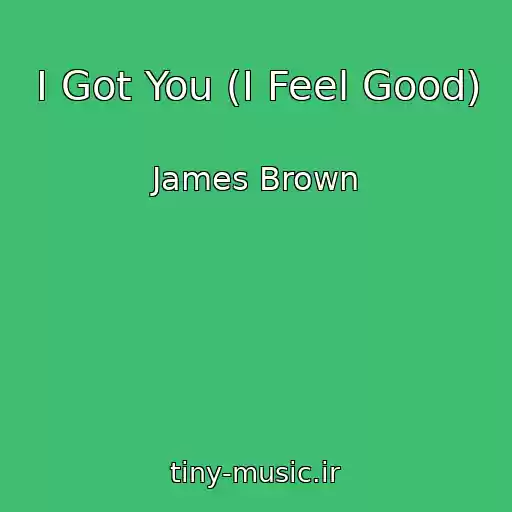 کاور آهنگ I Got You (I Feel Good) از James Brown