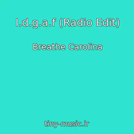 کاور آهنگ I.d.g.a.f (Radio Edit) از Breathe Carolina