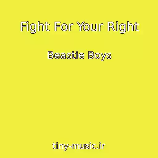 کاور آهنگ Fight For Your Right از Beastie Boys