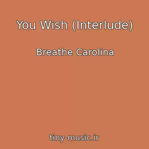 کاور آهنگ You Wish (Interlude) از Breathe Carolina