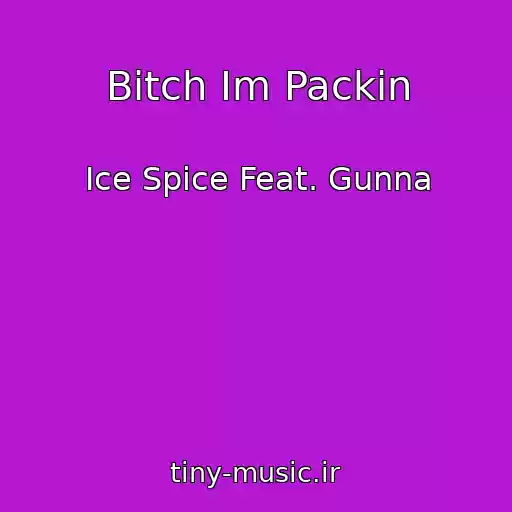کاور آهنگ Bitch Im Packin از Ice Spice Feat. Gunna