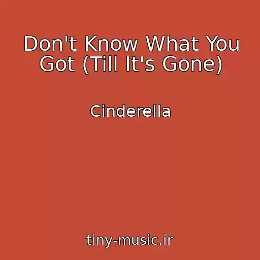 کاور آهنگ Don't Know What You Got (Till It's Gone) از Cinderella