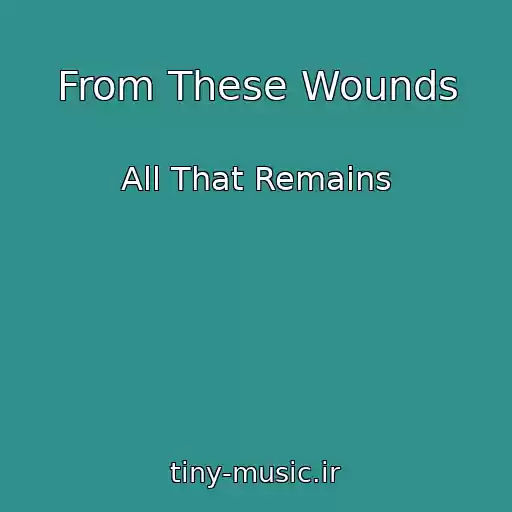 کاور آهنگ From These Wounds از All That Remains