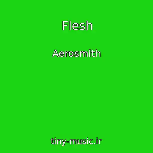 کاور آهنگ Flesh از Aerosmith