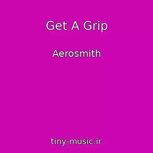 کاور آهنگ Get A Grip از Aerosmith