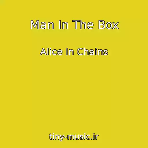 کاور آهنگ Man In The Box از Alice In Chains