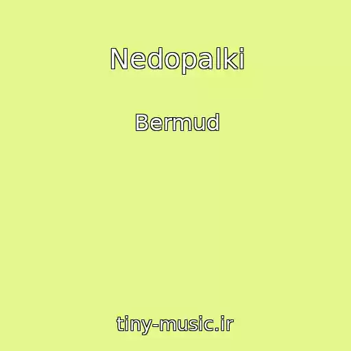 کاور آهنگ Nedopalki از Bermud