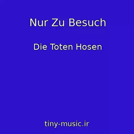 کاور آهنگ Nur Zu Besuch از Die Toten Hosen
