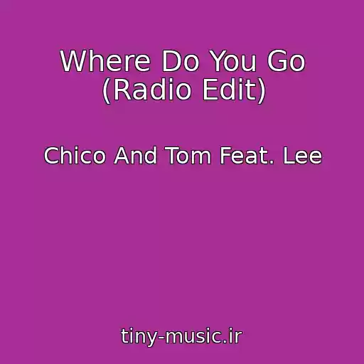 کاور آهنگ Where Do You Go (Radio Edit) از Chico And Tom Feat. Lee