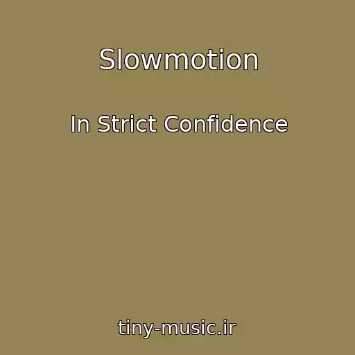 کاور آهنگ Slowmotion از In Strict Confidence